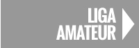 Liga Amateur Hockey Línea Madridpatina